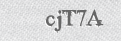 CAPTCHA security code