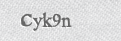 CAPTCHA security code