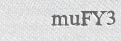 CAPTCHA security code
